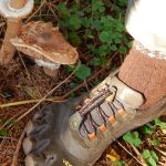 Barfussschuhe Naturfarbe